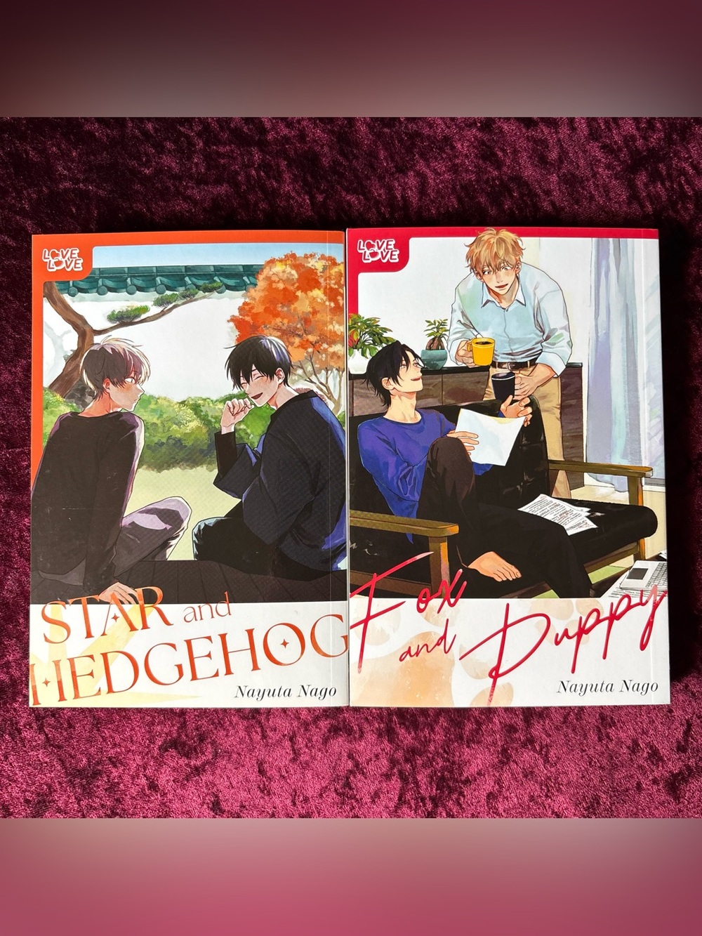 Star and Hedgehog / Fox and Puppy BL Manga